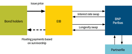 Figure 1: The Structure of the European Investment Bank Longevity Bond