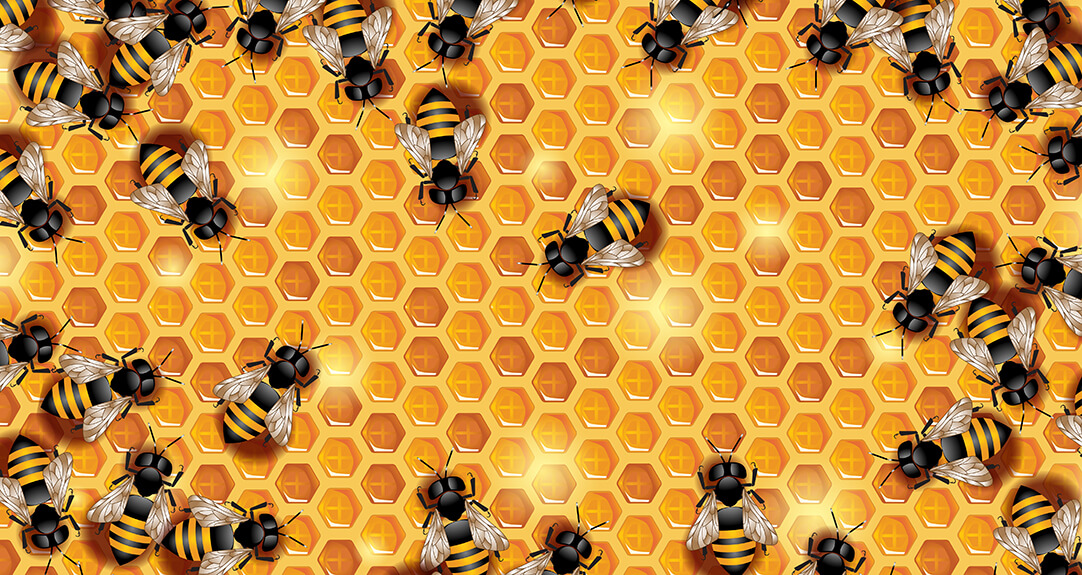 A busy and bustling bee colony within a honeycomb structure illustrates Adam Smith's invisible hand.