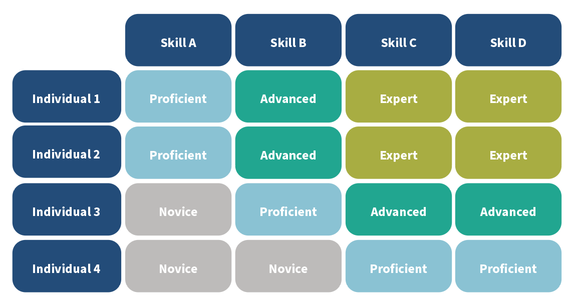 Sample Board Skills and Experience Matrix